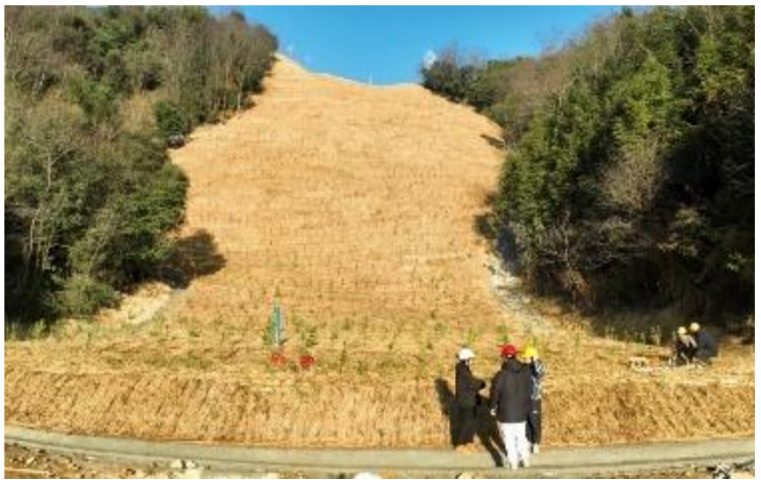 From Source Control t.png